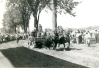 Henry Marcks Horse Pulling